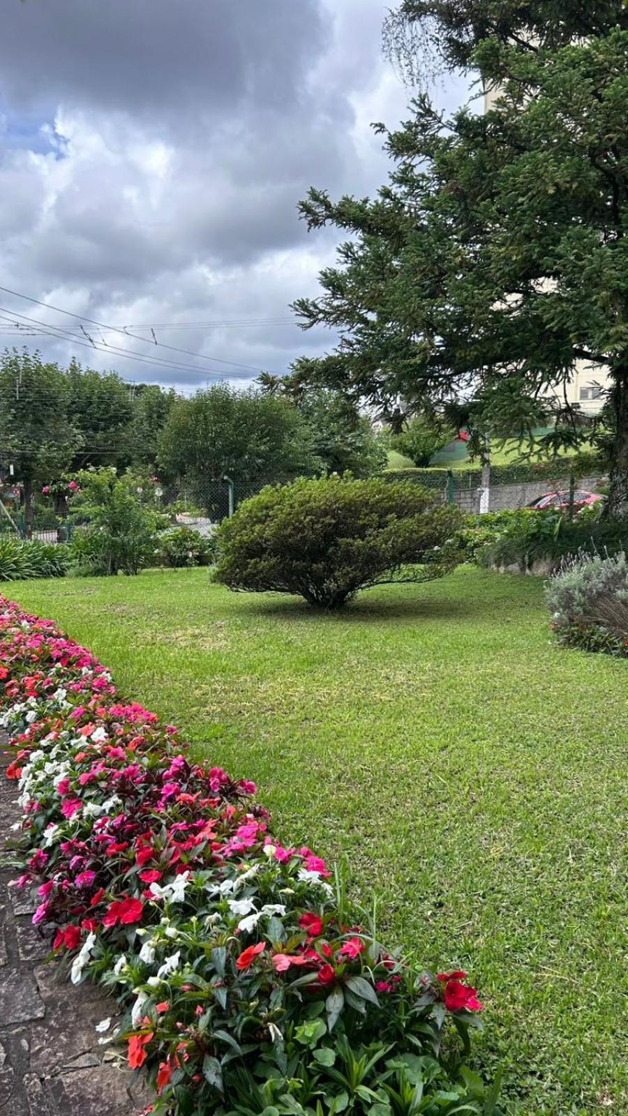 Tranquilidade Excelente Localizacao Capivari Campos do Jordão Exteriör bild